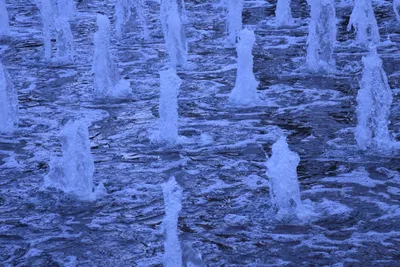 DSC_1629 (Large).JPG